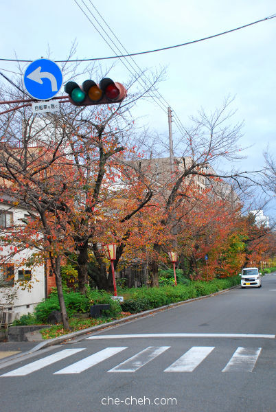 Autumn In Kyoto